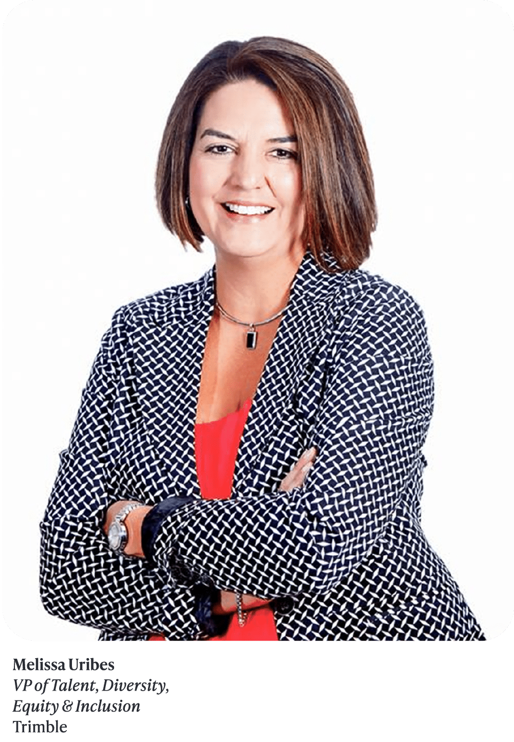 Leading Latinas 2023 - Hispanic Executive - Melissa Uribes