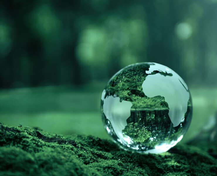 A glass sphere rendering of the Earth rests on a mossy ground