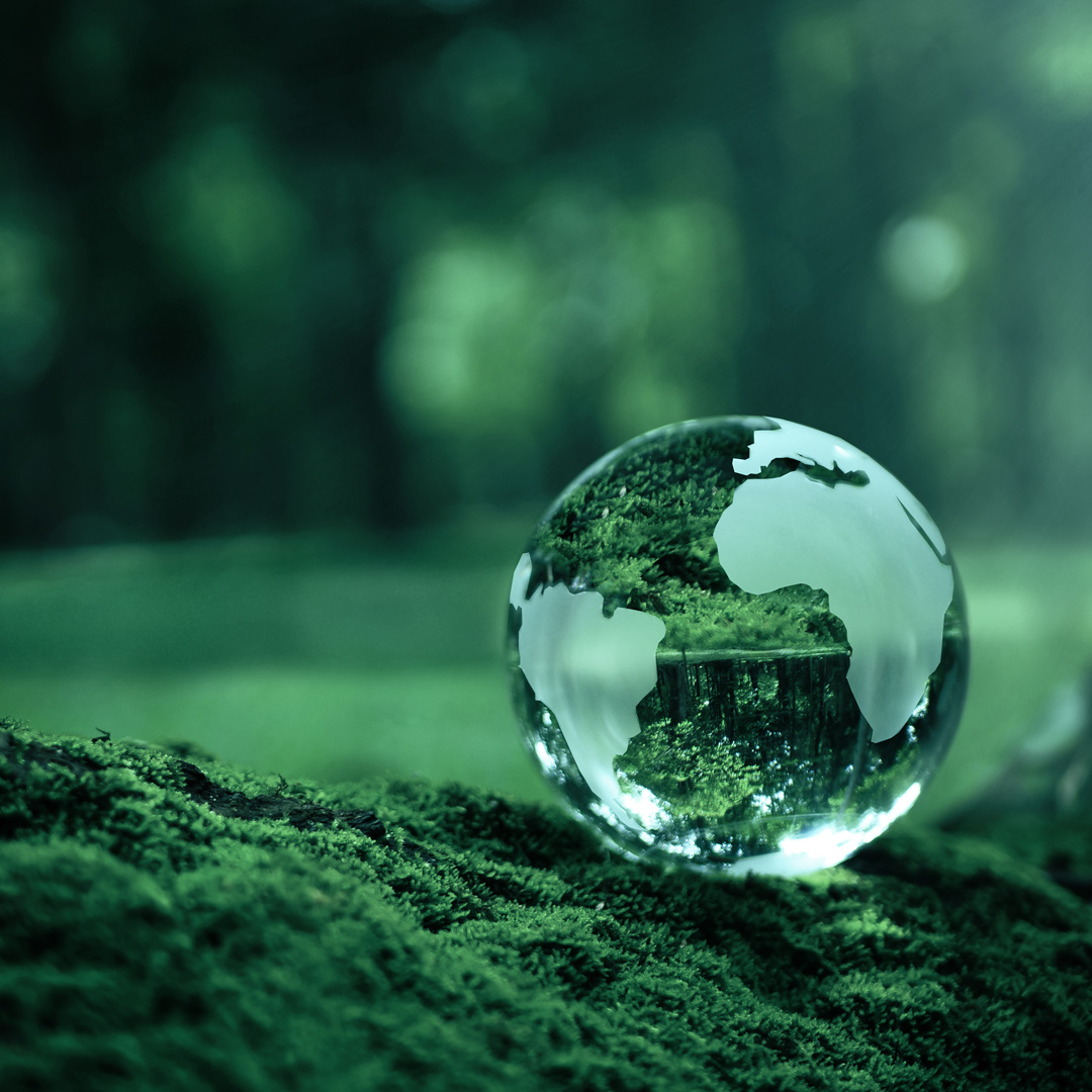 A glass sphere rendering of the Earth rests on a mossy ground